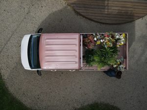 WONDER 14 Exterior carrousel 4